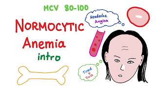 Normocytic Anemia Intro [upl. by Elwyn]