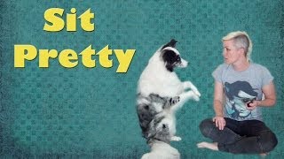 Teach Sit Pretty [upl. by Flanigan]