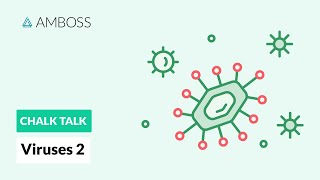 Viruses  Part 2 DNA vs RNA Viruses [upl. by Atiseret]