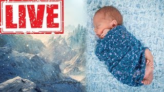 LIVE 🔴 Biały szum  ZAMIECI ŚNIEŻNEJ ❄❄❄ [upl. by Tracy423]