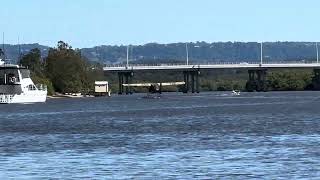 SEAPLANE LANDING Maroochy River  Maroochydore  Sunshine Coast  Australia [upl. by Ahsinal]