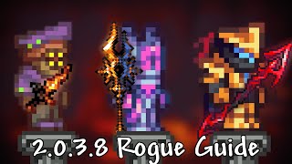 Calamity Rogue Guide  2024 [upl. by Yendahc]