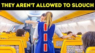 20 Things Flight Attendants Cant Do at Any Price [upl. by Eittel822]