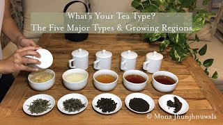 An Intro to Camellia Sinensis Whats Your Tea Type [upl. by Arrek]