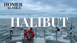 Halibut Fishing  Homer Alaska [upl. by Enihpad]