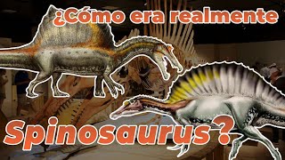 ¿Cómo era realmente Spinosaurus [upl. by Eilarol338]