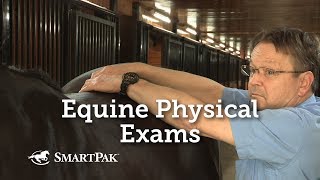 Equine Physical Exams [upl. by Asseneg]