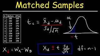 Matched or Paired Samples TTest  Hypothesis Testing [upl. by Drarej953]