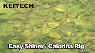 Easy Shiner Calorina Rig [upl. by Grega872]