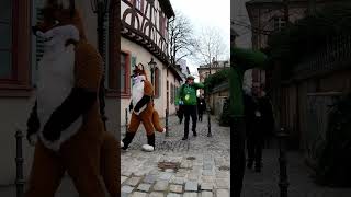 Vielen Grüße vom Weihnachtsmarkt in Aschaffenburg BayernGermany [upl. by Maitilde883]