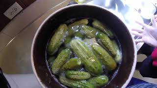 Easy and Delicious Fermented Sweet Pickle Recipe [upl. by Levey]