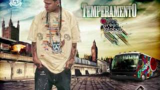 Temperamento  Soul Survivor Remix [upl. by Sikleb]