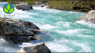 BRUIT de la rivière qui coule pour dormir  relaxation méditation sommeil  ASMR [upl. by Forland]