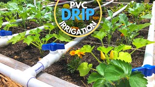 PVC Drip Irrigation System  EASY DIY [upl. by Tedder]