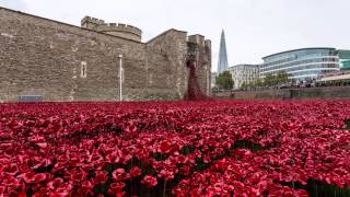 The Tower of London Poppies [upl. by Yeniffit985]