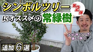 【常緑シンボルツリー追加6選】お庭で使える常緑樹第二弾をご紹介します。 [upl. by Alberik]