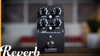 Ampeg Classic Analog Bass Preamp  Reverb Demo Video [upl. by Atinoj214]