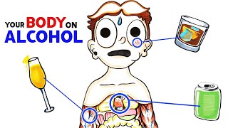 How Alcohol Changes Your Body [upl. by Kcirdderf]