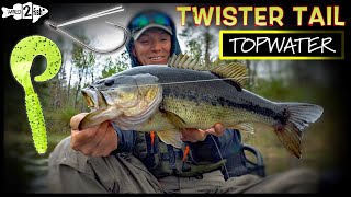 SIMPLE Curly Tail Grub SMASHES in Shallow Water Bass Fishing [upl. by Hoo]