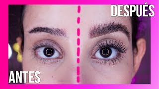 CEJAS PERFECTAS Y NATURALES ✅💁‍♀️ Tendencia 2019 [upl. by Nysilla]