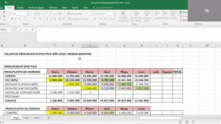 Presupuesto de efectivo o de tesoreria [upl. by Gomez]