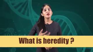 Heredity and Evolution 01 Introduction CBSE Class X Biology [upl. by Frentz67]