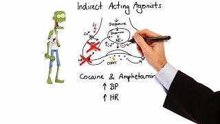 Pharmacology  ADRENERGIC RECEPTORS amp AGONISTS MADE EASY [upl. by Dranyer]