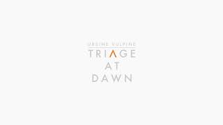 Triage At Dawn Cover  Ursine Vulpine  The Final Hours Of HalfLife Alyx [upl. by Ilellan]