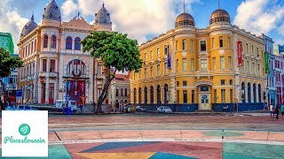 Recife Travel Guide  Brazil Exceptional Atmosphere [upl. by Nolram19]