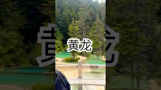 Huang Long Scenic Valley 黄龙 四川旅遊 盆景池 chengdutravel sichuanvlog chinatravel [upl. by Bink]