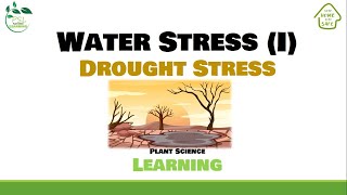 Drought Stress in Plants Part1 [upl. by Bremer]