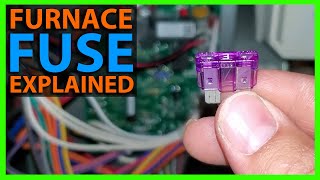 How To Replace a Fuse on a Furnace or AC Air Handler Control Board [upl. by Kcirdneh]