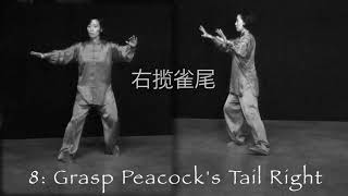 Yang Style Taichi 24 Forms for Beginners by Master Yijiao Hong [upl. by Scotney]