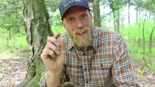 Ferro Rod Pro Tips and Tricks from Survival Instructor and Certified Badass Dan Wowak [upl. by Dorthea233]