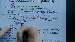 Cardiac Cycle  Cardiovascular Physiology [upl. by Winou864]