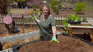 Building a Cinderblock Raised Bed and Planting Squash [upl. by Mikahs]