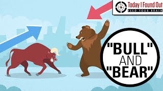 Why are Bull and Bear Markets Called That [upl. by Eddy]