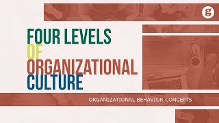 Four Levels of Organizational Culture [upl. by Lissy]