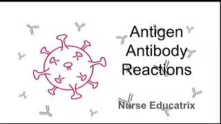 Antigen and Antibody Reactions Microbiology [upl. by Cruce]