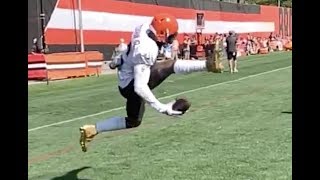 Odell Beckham Jr onehanded trick catch  Cleveland Browns [upl. by Raclima]