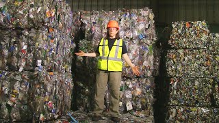 How Recycling Works Behind the Scenes at the MRF [upl. by Mcgrody511]