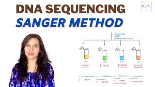 Dideoxy DNA Sequencing  Sanger method [upl. by Siroled]