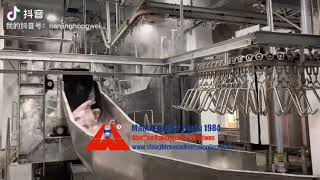 Pig abattoir slaughter line equipment hog slaughterhouse processing machine supplier in China [upl. by Haisej]