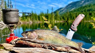 48H SOLO Backpacking amp MOUNTAIN TROUT Fishing Catch Cook Camp [upl. by Alleris]