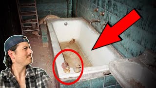 Top 3 photos with DISTURBING backstories  Part 10 [upl. by Sinned]