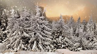 Schneesturm Geräusche in der Natur zum Einschlafen 4 Stunden Windgeräusche [upl. by Savannah989]