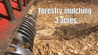 Forestry Mulching a 3 Acre Lot [upl. by Immij]