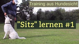 Dem Hund Sitz beibringen  Zwei Trainingsmethoden [upl. by Earas603]