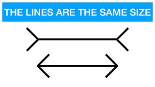 Psychology of the MullerLyer Illusion [upl. by Micco488]