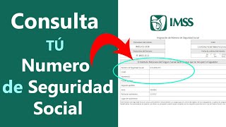 Como obtener tu NUMERO de SEGURO SOCIAL NSS para tramites [upl. by Dnomsed]